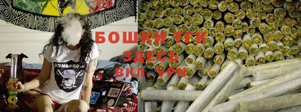МДПВ Богородицк