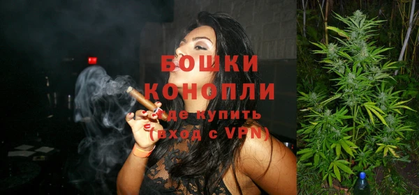 МДПВ Богородицк