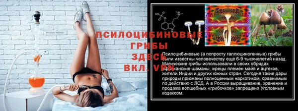 стафф Богородск