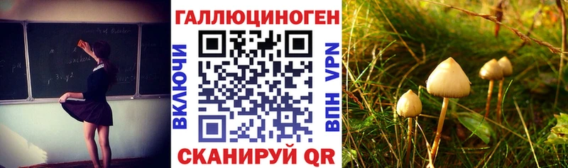 Купить где  Нариманов  Псилоцибиновые грибы Magic Shrooms 